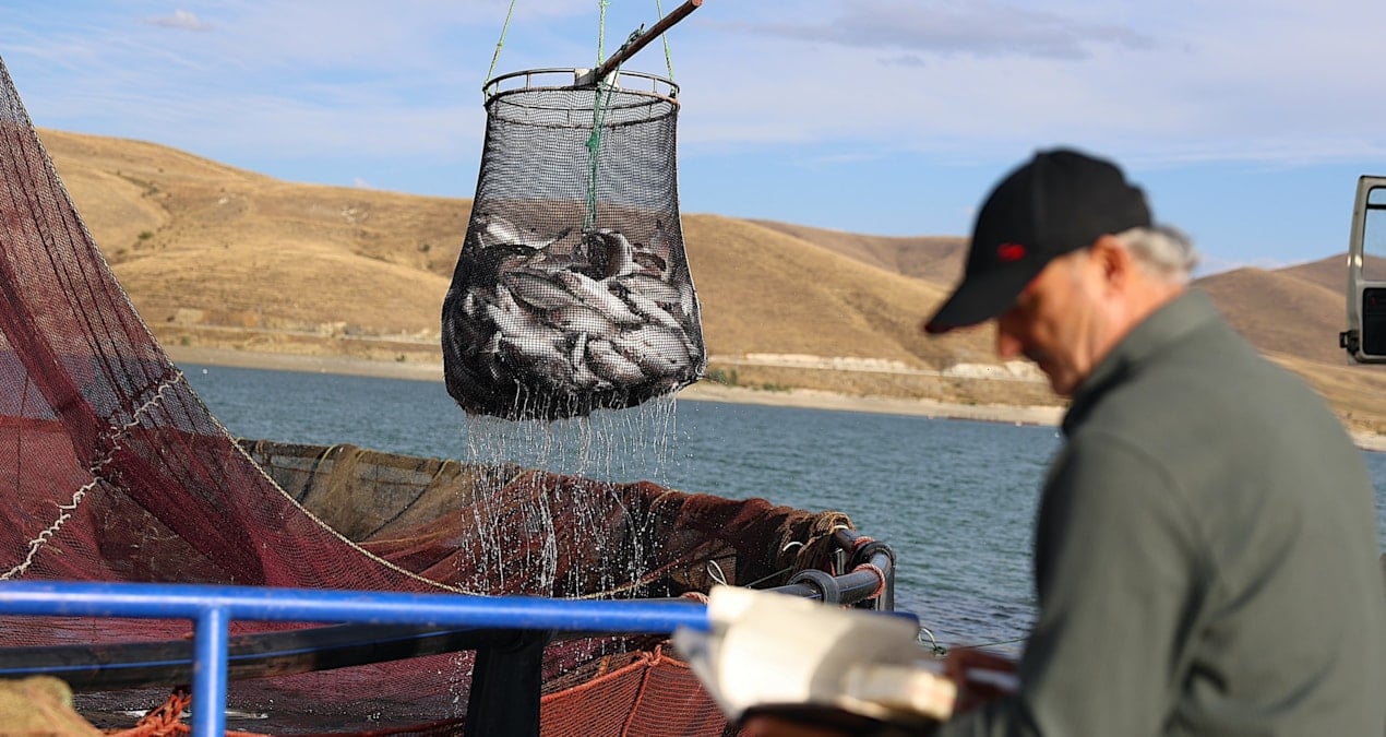 bayburtta hasadi basladi tonlarca urun rusya yolunda USDIIf52