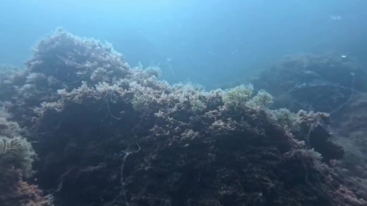 kabus geri dondu uzman isim uyardi acilen harekete gecilmeli MlQ8pSut