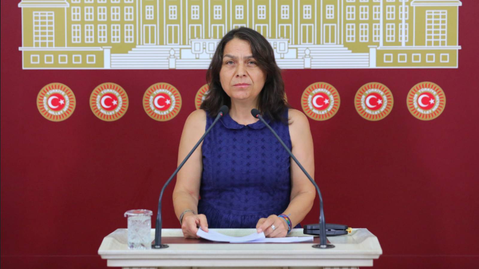 dem partili sakiden lgbtilara hapis ongoren 11 yargi paketi cikisi bu yasayi geri cekeceksiniz Un5LC6vA.jpg