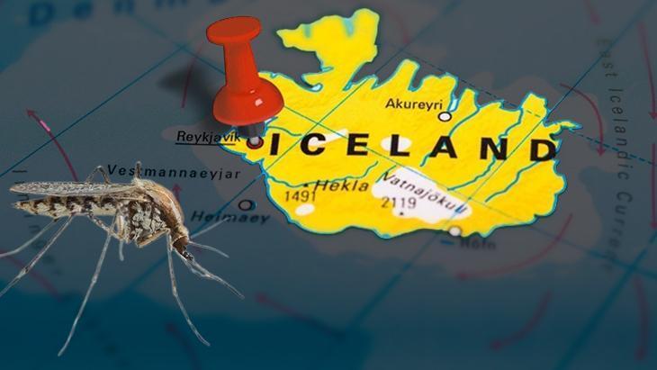 hic gorulmez deniyordu 3 sivrisinek ulkede panik yaratti her yeri sarabilirler L9waKgmt.jpg