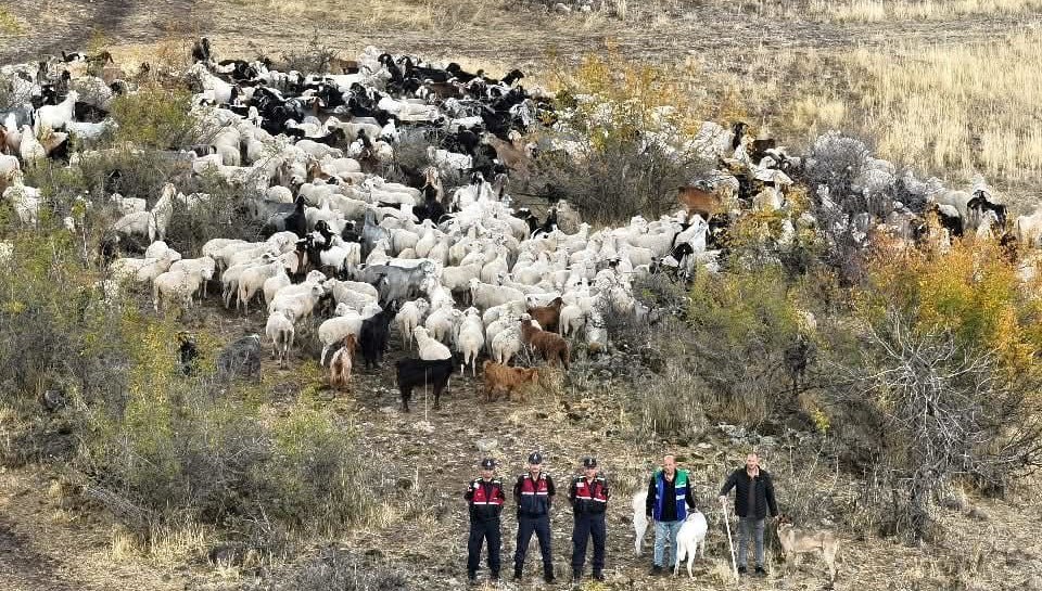 kayip suru drone ile bulundu 9HaFX8wN