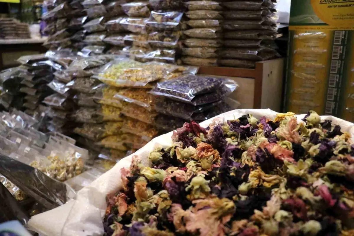 sakaryada soguk alginligina karsi aktarlara yogun ilgi WHcGDiyz