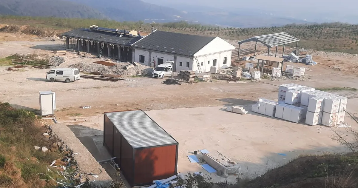 izmit belediyesi dost pati yasam alaninda calismalar tum hiziyla devam ediyor qlQUYv7p.webp