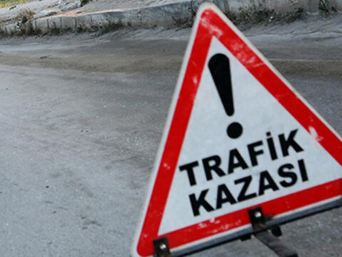 Kediyi Kuyuya Düşmekten İtfaiye Kurtardı