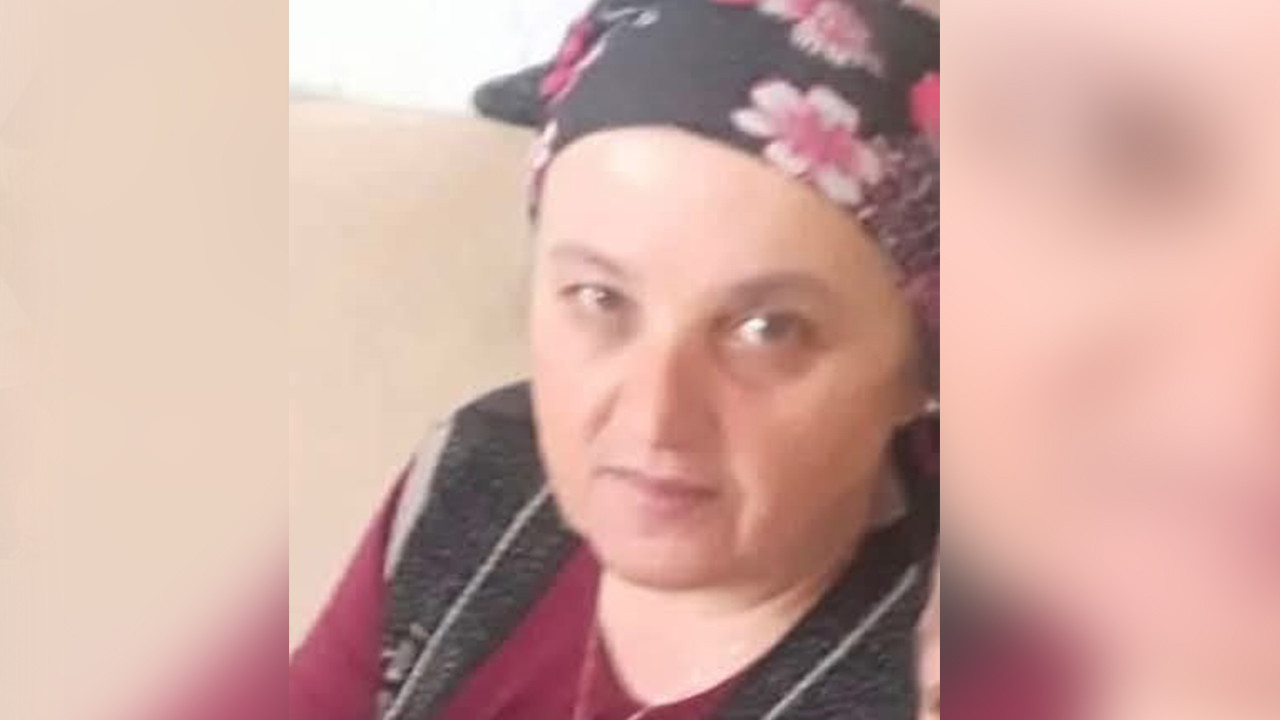 Findik bahcesinde esek arisi soktu 57 yasindaki kadin yasamini yitirdi OF5bytPz
