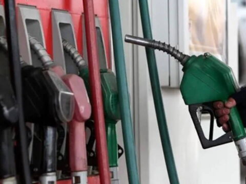 Haber gorseli